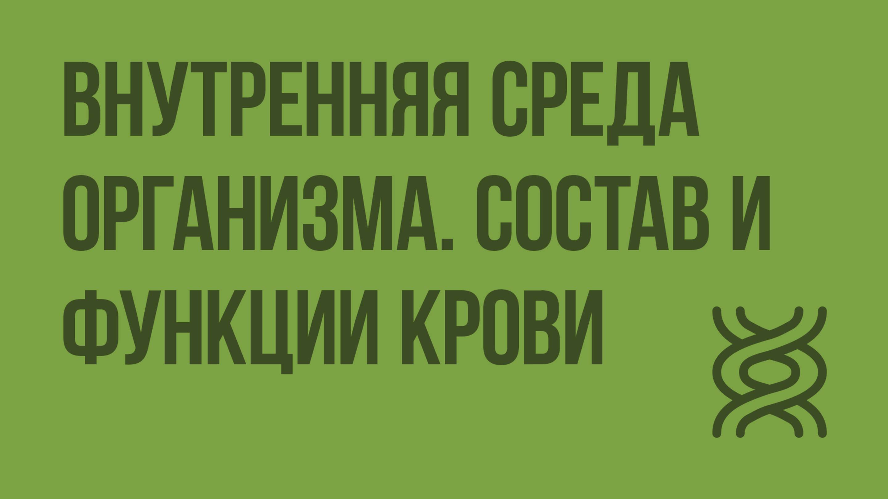 Внутренняя среда организма. Состав и функции крови. Видеоурок по биологии 8 класс