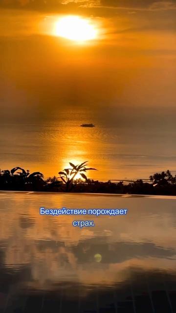 Когда не знаешь
#цитаты