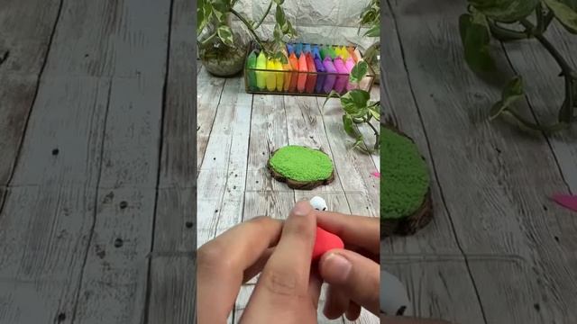 Грибы на полянке