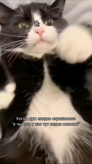 Эксперимент удался
