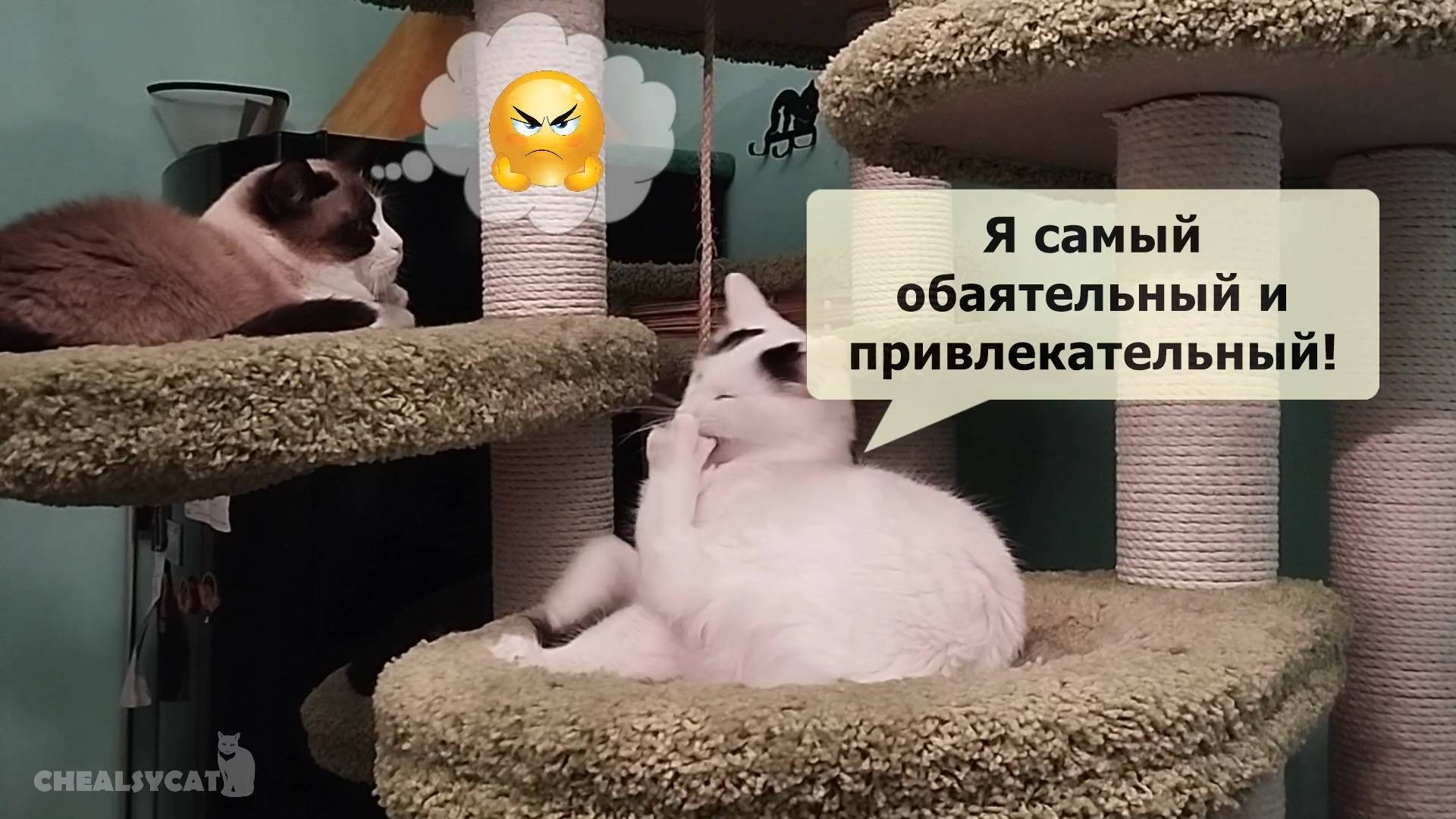 Кто на свете всех милее?