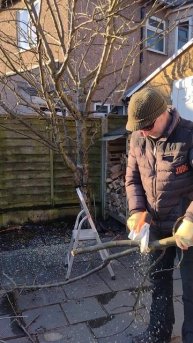 Stihl Mini Chainsaw GTA26