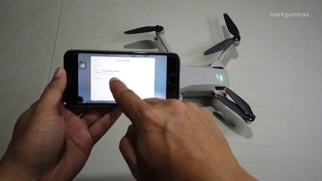 DJI Mavic Mini 3 Quick Transfer