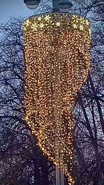 VID-20241225-WA0023[1]
