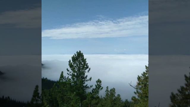 море тумана