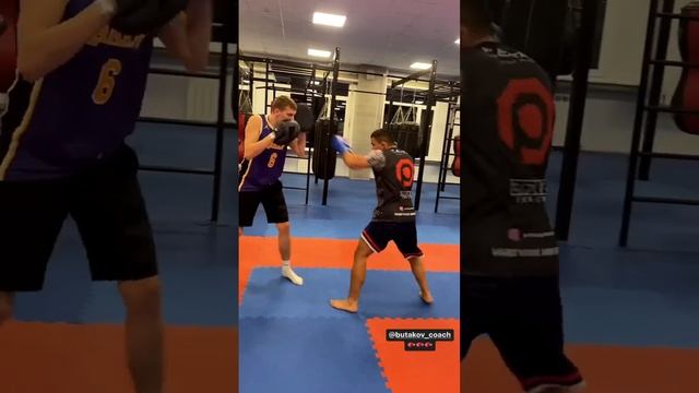 Узнали тигра ?