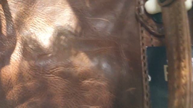 MCM, Marc Jacobs, Michael Kors & More: Christmas At Nordstrom