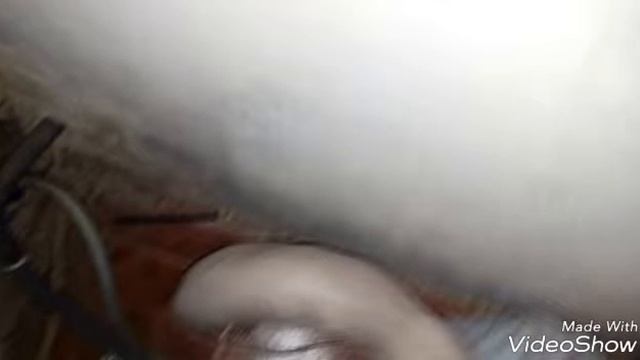 Что кот делает