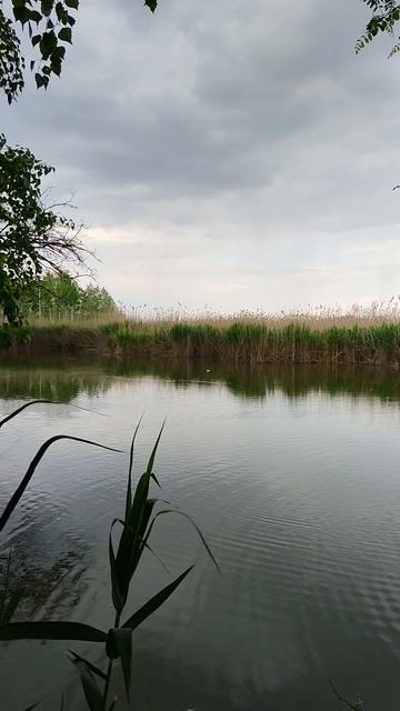 На водоёме в Белгородской области