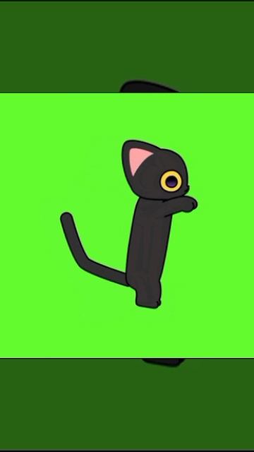 котик дэнсит