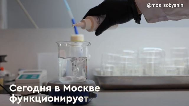 День без турникетов 10 и 12 марта 2025 года