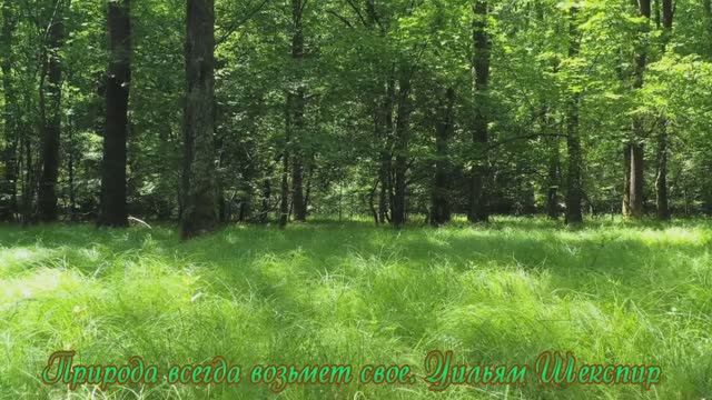 Природа возьмёт своё.