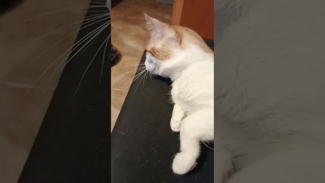 1000046382.mp4