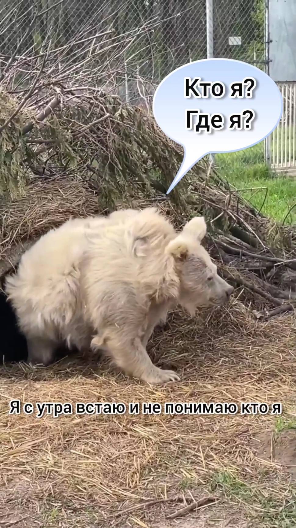 Я утром ДО и ПОСЛЕ. Центр Руница рулит