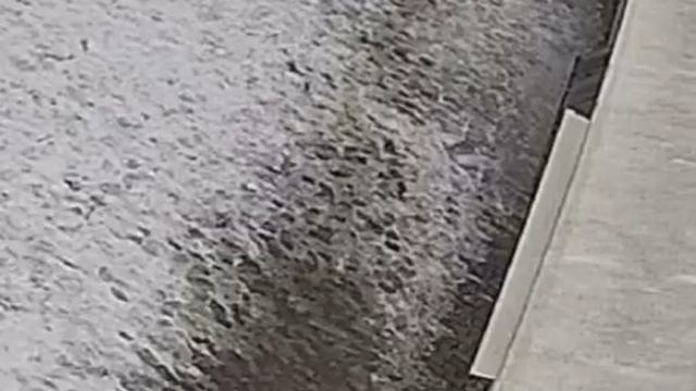 😠 Двое мужчин скрутили девушку во дворе краснодарской многоэтажки.