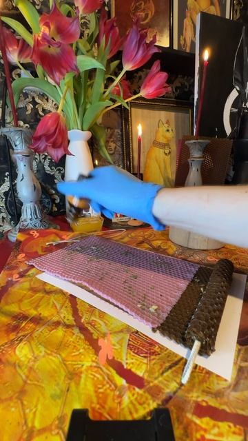 Волшебные свечи