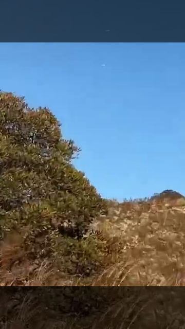 Один из частонаблюдаемых видов НЛО