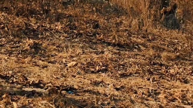 Экзамен ШКОЛА НВП "ВЕКТОР"/Воскресенье, 2 марта Полигон "Горностай"