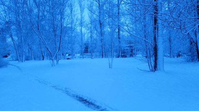 И вновь зимнее утро. Переменчивая погода сегодня