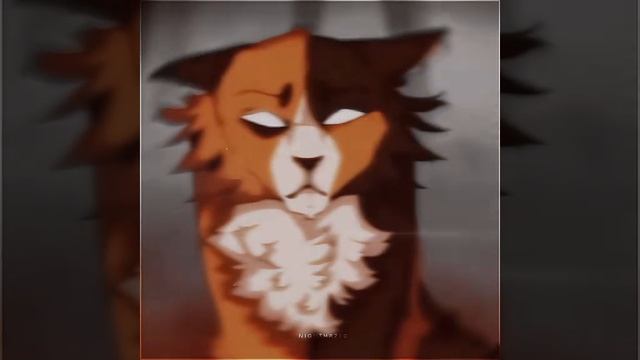 Эдит Кленовнице