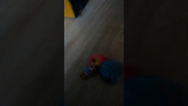 VID_20250305_163440.mp4