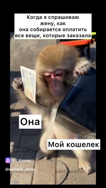Обезъян и кошелек
