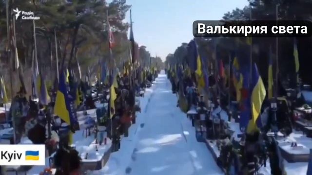 VID_20250305_114424_418.mp4