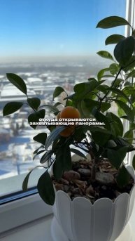 Трехкомнатная студия с видом на р.Обь в Новосибирске.