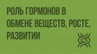 Роль гормонов в обмене веществ, росте, развитии. Видеоурок по биологии 8 класс