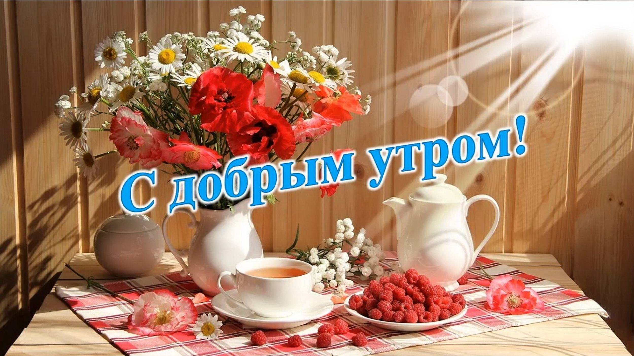 💕🌞 С добрым утром, днём!