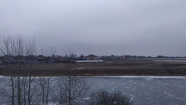 с . Шумашь 25.01.2025