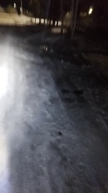 напала собака