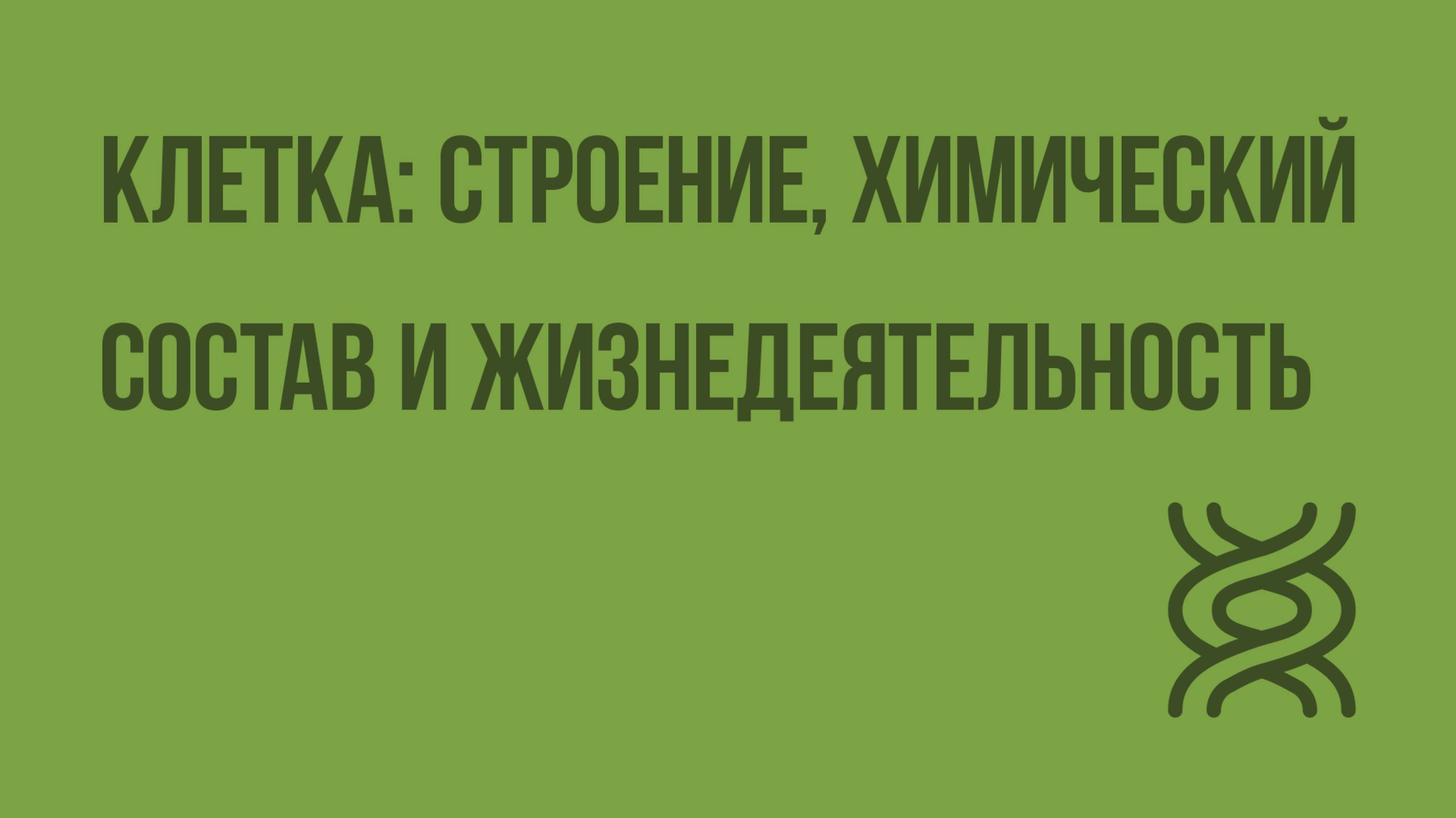 Клетка строение химический состав и жизнедеятельность. Видеоурок по-биологии 8 класс