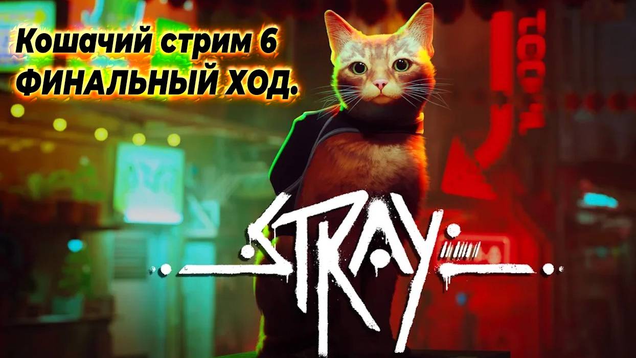 Кошачий стрим 6. Stray - ФИНАЛЬНЫЙ ХОД.