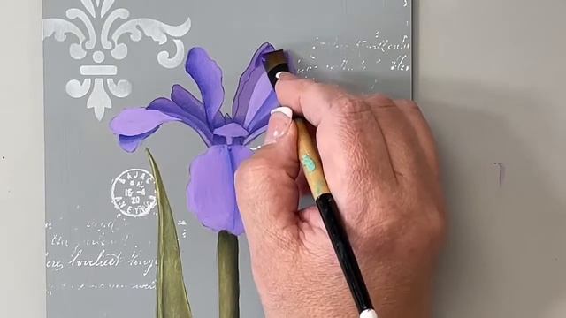 Spring Wild Iris with Sandy