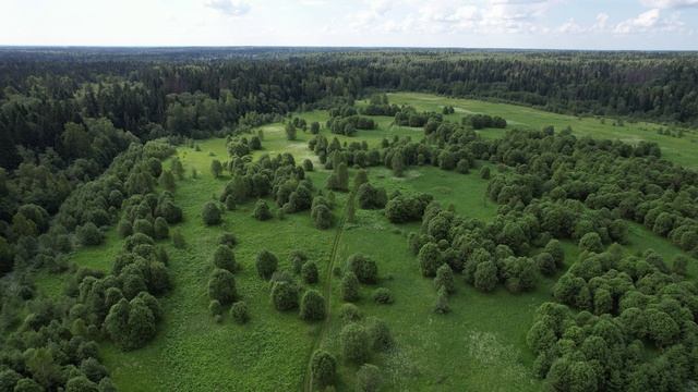 DJI_0888