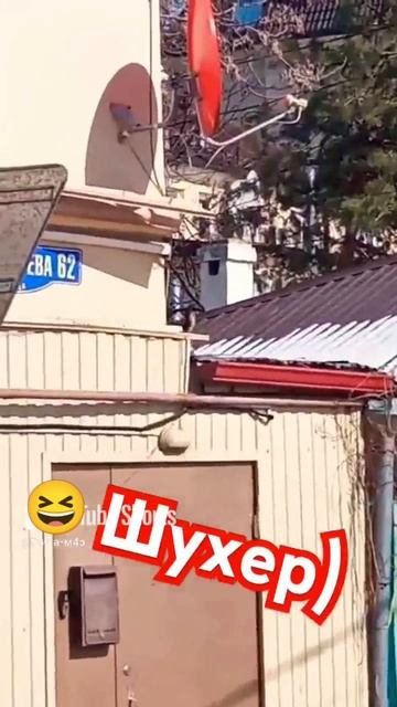 Шухер 😄