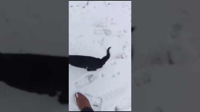 1000001557.mp4