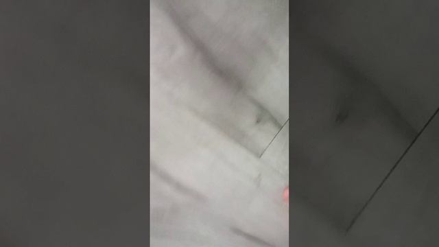 как сделать свой динопарк