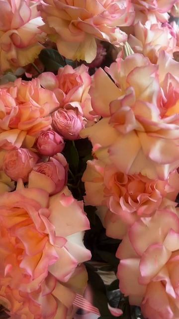 🔴 ЦВЕТЫ 🌹 🌹🌹РОЗЫ🔴