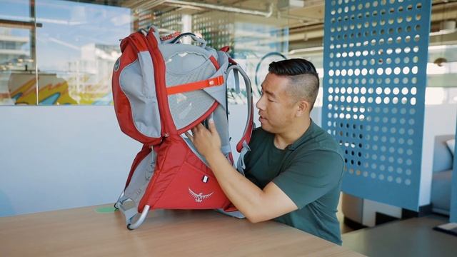 Osprey Poco Plus / Premium Child Carrier Backpack