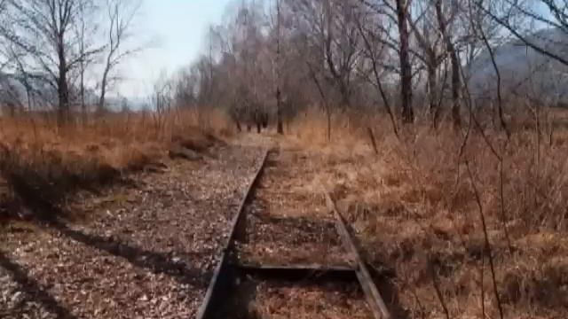 Найдены окаменевшие рельсы в валуне принесенный ледником