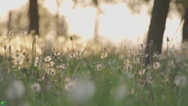 Красивая расслабляющая музыка - Перестаньте слишком много думать, Музыка для снятия стресса, Музыка