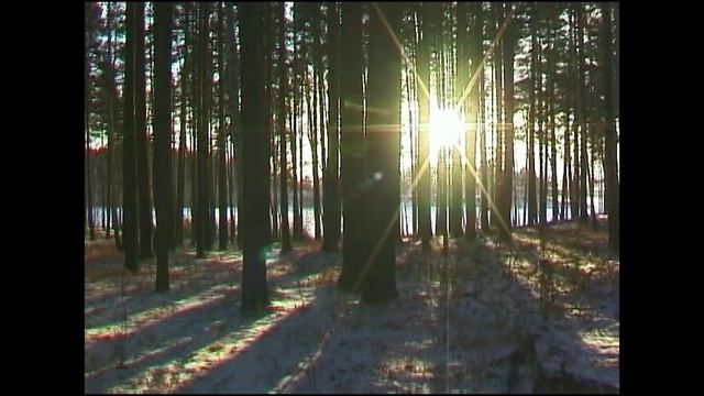 4. Фредерик Шопен. Ноктюрн №3 (видео - Южный Урал)