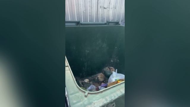 Не бросать окурки в мусорные баки призывают хабаровчан