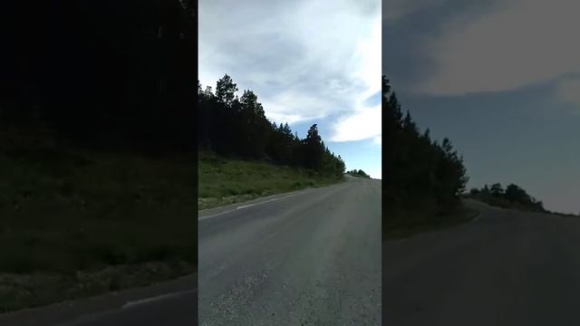 1 июня 2020 г.