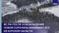ВС РФ после освобождения Новой Сорочины активно выбивают ВСУ из Курской области