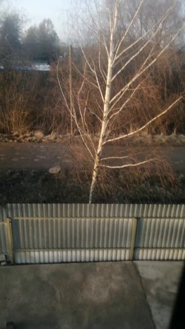 Вайб