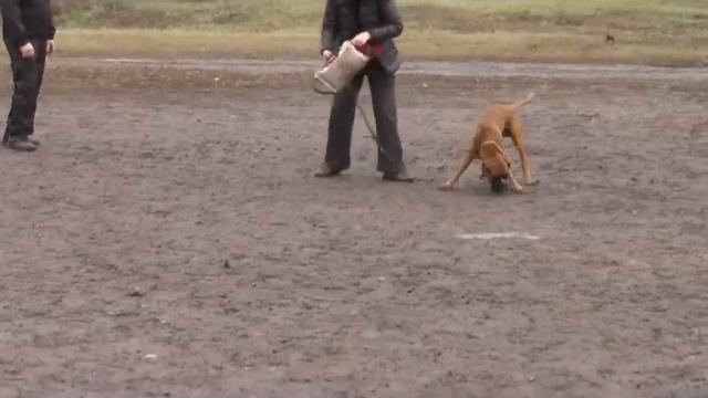 Защита ч 2 с музыкой от 02 11 13
