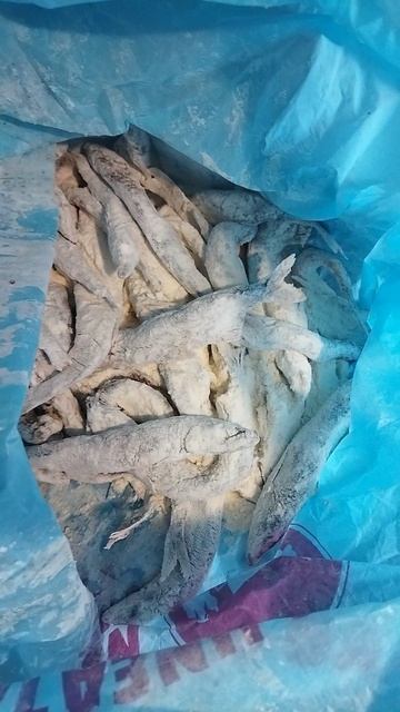 жарим мойву